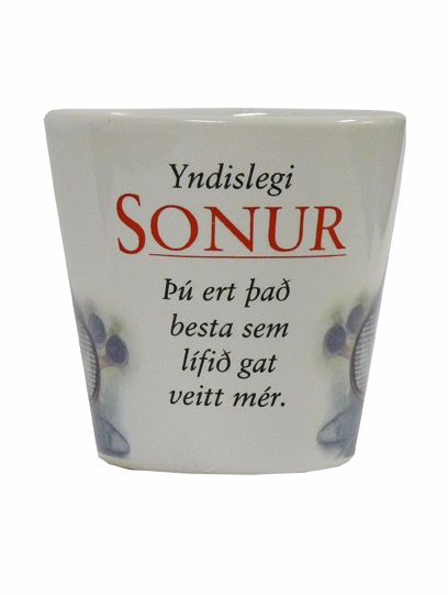 Loading Image