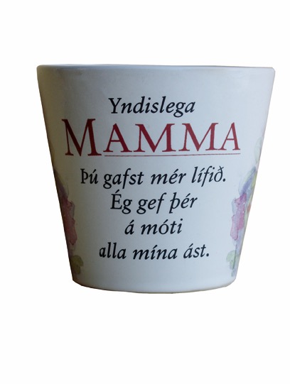 Loading Image